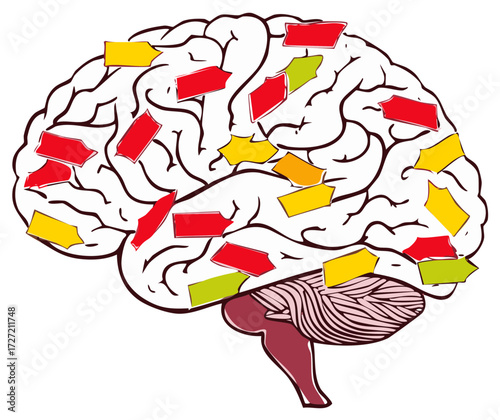 Cartoon brain illustration with colorful markers showing cognitive processes and areas of focus