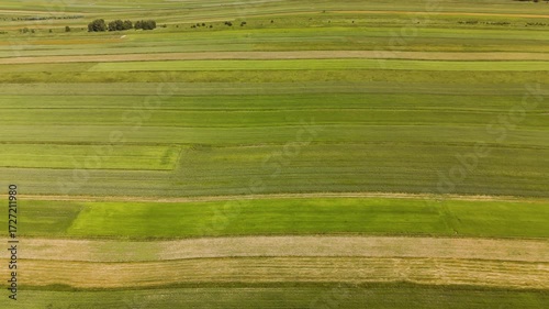 Aerial drone footage flying parallel to vibrant striped farmland in summer. The shot emphasizes the linear patterns of crops and the beauty of cultivated rural landscapes.