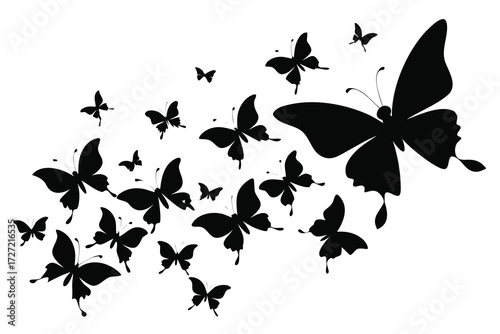 Black Silhouette Butterflies Flying on White Background, Illustration, Design Element