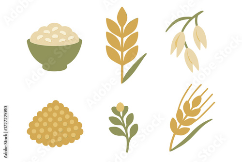 Healthy grains and legumes assortment including rice, wheat, and oats, essential food staples for balanced nutrition