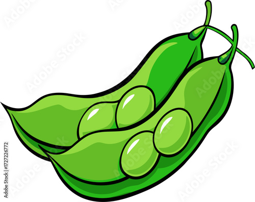 Edamame Vector Illustration | Fresh Soybean Pod Vegetable Graphic Design