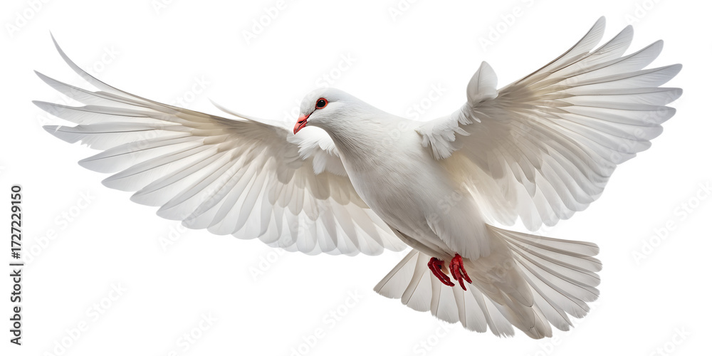 Fototapeta premium Dove PNG – Realistic Flying White Dove on Transparent Background