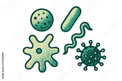 Stylized collection of diverse microscopic organisms including various bacteria, viruses, and amoeba shapes with textured details for scientific concepts