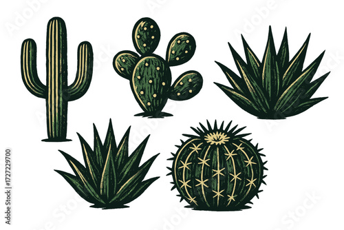 Collection of diverse desert plants including saguaro, prickly pear, barrel cactus, and agave succulents