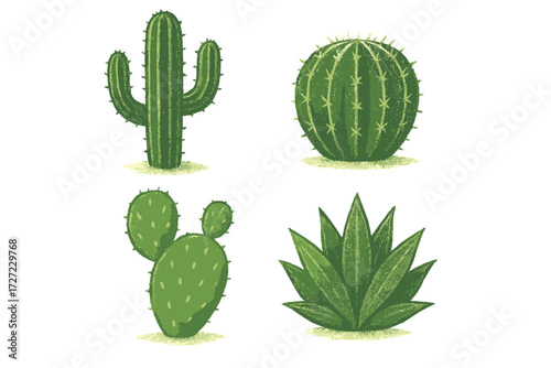 Assortment of green desert plants including tall saguaro, round barrel cactus, flat prickly pear, and spiky agave