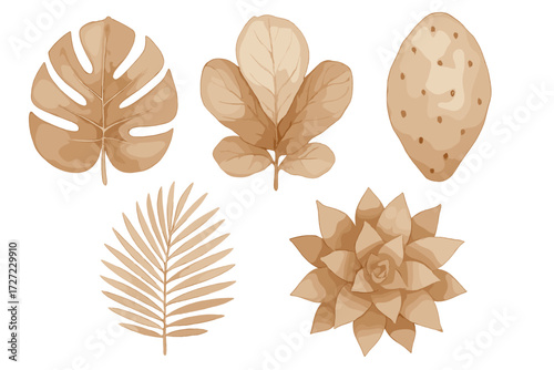 Assorted tropical botanical leaves and succulent plants in a warm sepia watercolor style on a clean white background