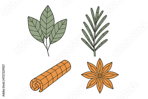 Assortment of fresh aromatic culinary herbs and dried spices including sage rosemary cinnamon stick and star anise