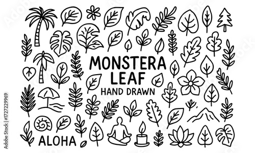 Hand drawn monstera and tropical leaves with relaxing aloha theme
