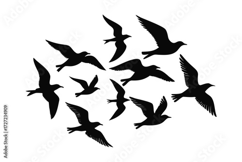 Silhouetted Flock of Birds Flying Together on a White Background, Minimalist Design