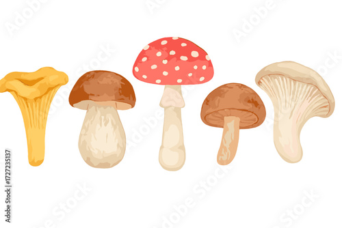 Assortment of wild forest mushrooms including chanterelle, porcini, and fly agaric on white background