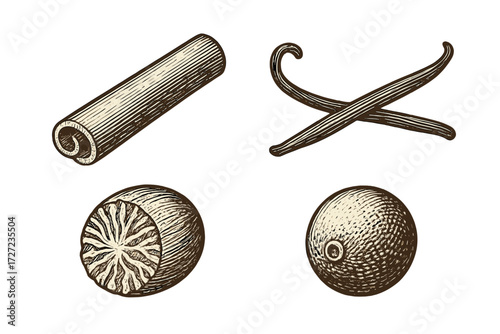 Aromatic culinary spices collection featuring cinnamon stick, vanilla pods, and whole nutmeg in vintage engraved style