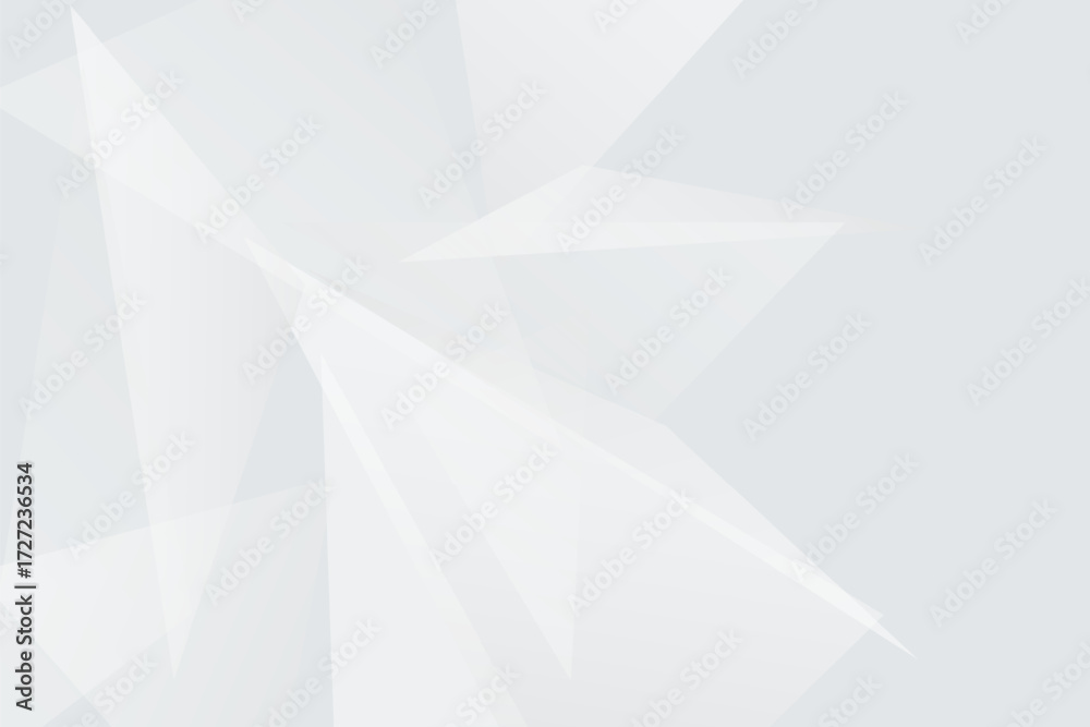 Obraz premium White gray abstract polygon vector background clean modern design geometric