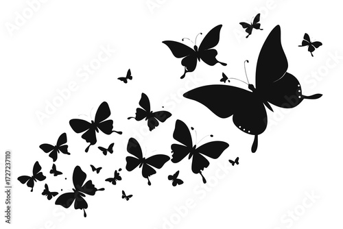 Swarm of Black Butterfly Silhouettes Ascending on a White Background, Design