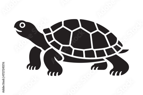Black silhouette of a tortoise with a detailed shell pattern