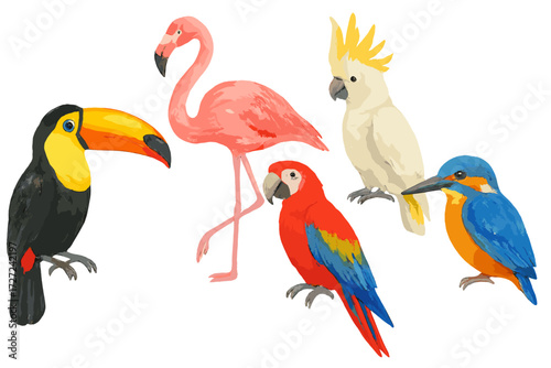 Colorful collection of exotic tropical birds including toucan flamingo macaw cockatoo and kingfisher