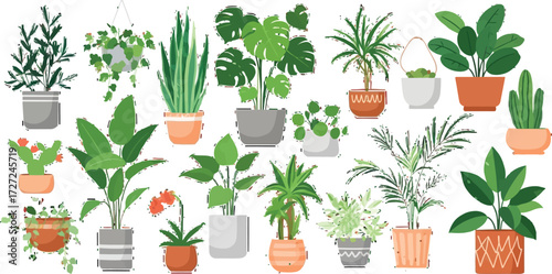 Vibrant collection of diverse potted houseplants in stylish containers, bringing natural beauty and modern decor to any indoor space.