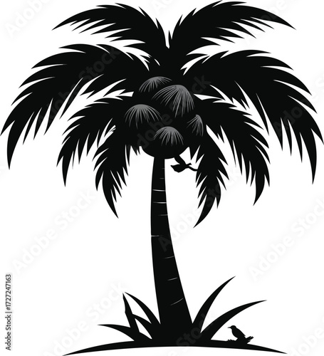 palm-tree--with-weavers-nest--black-colour-silhoue [