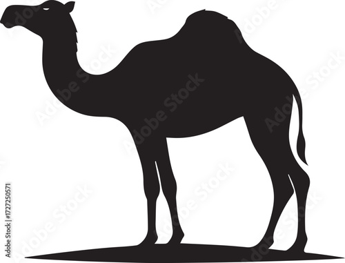 Camel in Black & White | Minimalist Desert Silhouette Vector