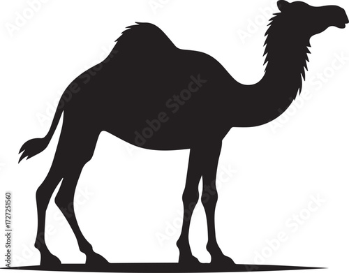 Camel in Black & White | Minimalist Desert Silhouette Vector