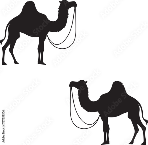 Camel in Black & White | Minimalist Desert Silhouette Vector