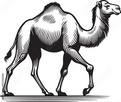Camel in Black & White | Minimalist Desert Silhouette Vector
