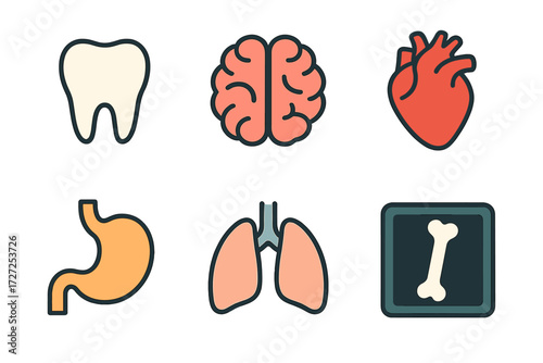 Set of human anatomy icons including brain heart lungs stomach tooth and bone for medical health education and science