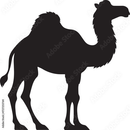 Camel in Black & White | Minimalist Desert Silhouette Vector