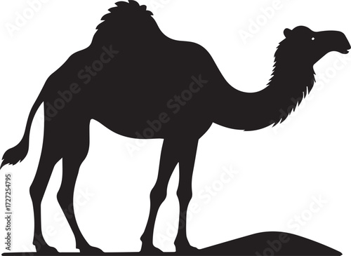Camel in Black & White | Minimalist Desert Silhouette Vector