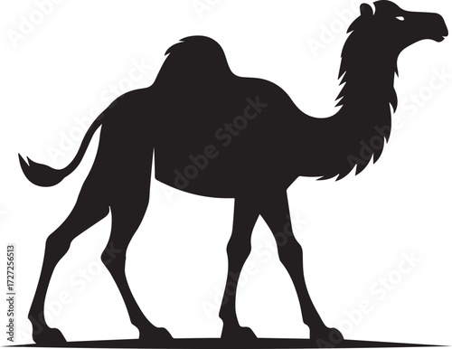 Camel in Black & White | Minimalist Desert Silhouette Vector