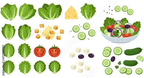 A collection of salad ingredients and a prepared salad in a bowl