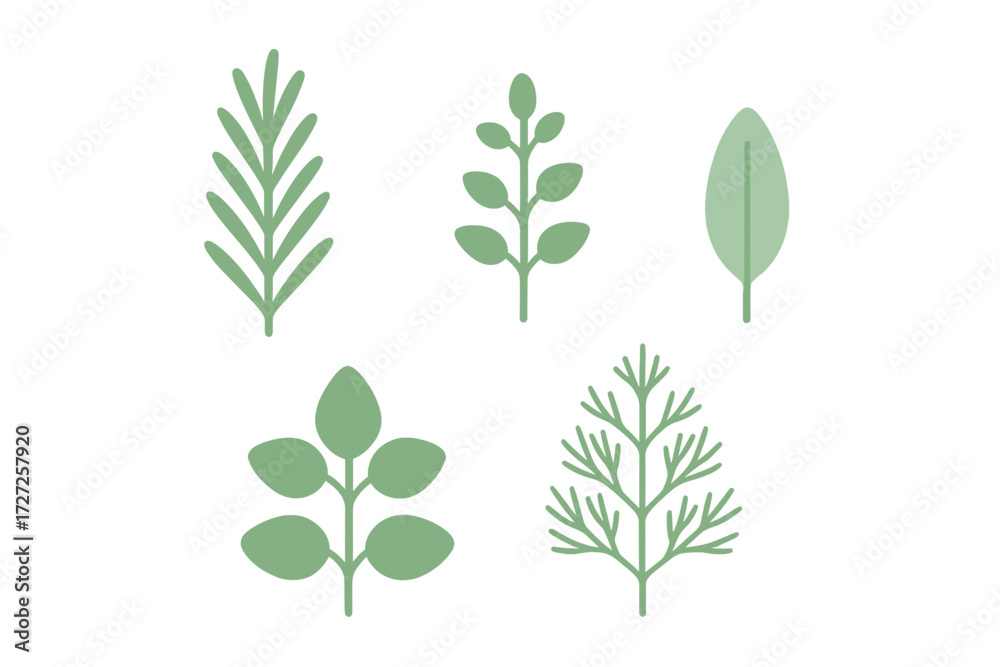 Fototapeta premium Botanical collection of diverse green plant leaves and branches featuring a minimalist flat design aesthetic