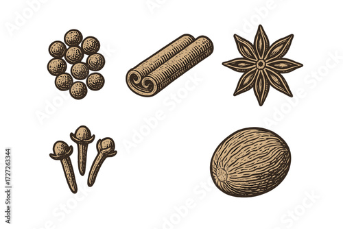Variety of spices displayed with details on their shapes and textures, showcasing culinary ingredients from around the world