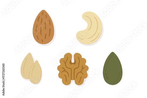 Variety of nuts displayed on a clean surface, highlighting their diverse shapes and textures for healthy snacking options