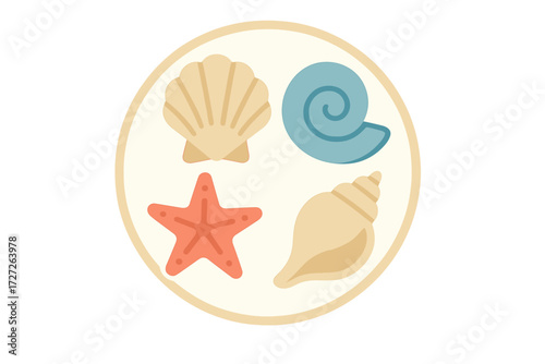 Colorful collection of sea shells and starfish arranged in a circular pattern on a light background
