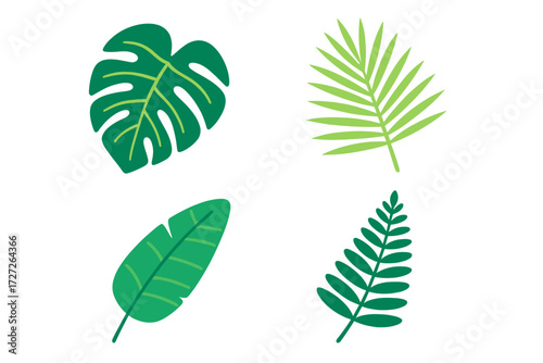 Various green tropical leaves displayed in a simple layout showcasing their unique shapes and patterns