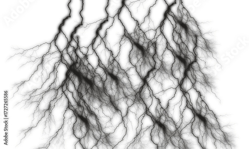 Abstract dark textured pattern representing organic growth and natural formations