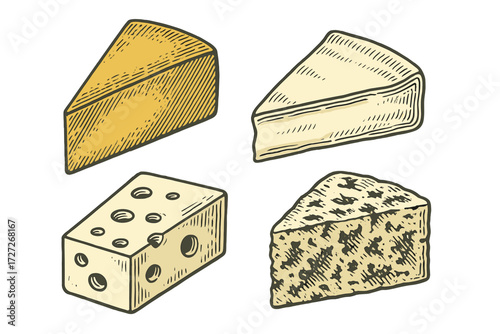 Different varieties of cheese displayed on a white background showcasing unique textures and colors