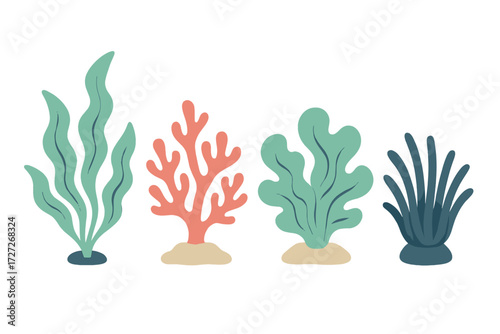 Colorful marine plants in a minimalist design showcasing underwater flora and coral forms
