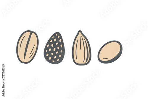 Variety of nuts and seeds displayed in simple illustration showcasing natural textures and colors