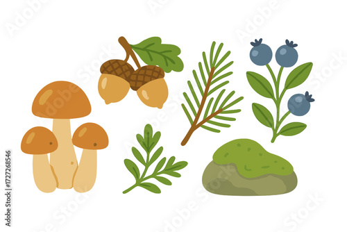 Colorful mushrooms, berries, and acorns in a simple nature illustration featuring forest elements