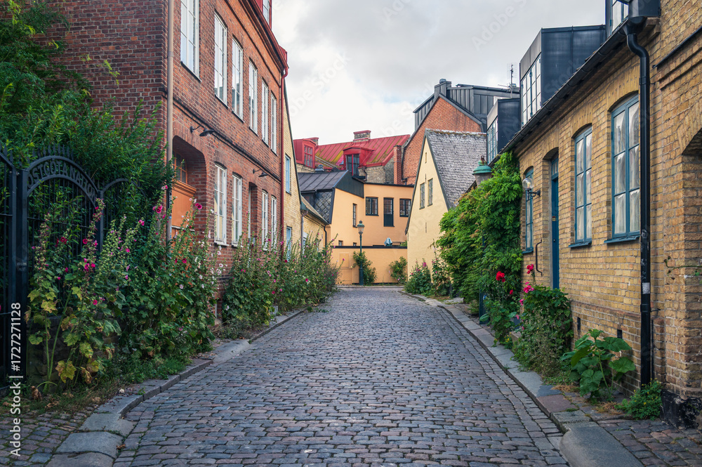 Fototapeta premium The street Hjortgatan in Lund Sweden