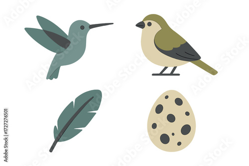 Colorful bird illustrations featuring a hummingbird, songbird, feather, and egg set against a white background