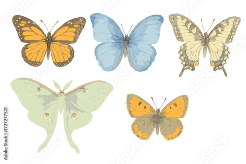 Colorful butterflies resting on a white background showcasing diverse species and vibrant patterns in detail