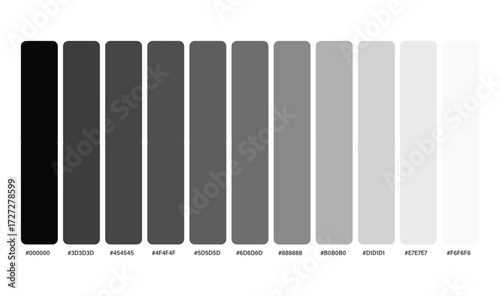 Black to White Color Palette with Hex Codes