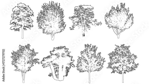 front View Vector Icons of Trees and Plants for Floor Plan and Architectural Design Projects	