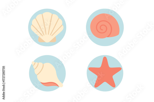 Colorful marine illustrations featuring shell, snail, and starfish in simple design set against light blue background