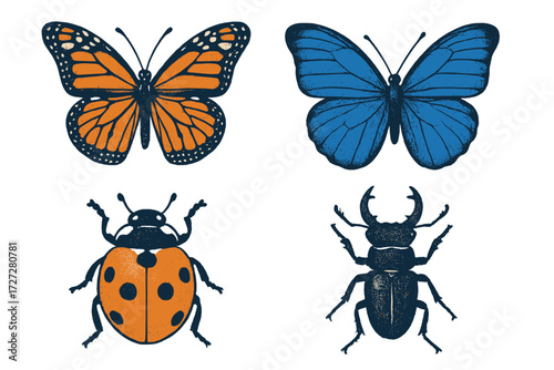 Colorful butterflies and beetles illustrated in a vivid, artistic design showcasing nature's beauty and diversity in insects