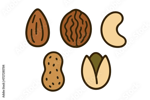 Variety of nuts illustrated on a white background for culinary decoration or recipe use during any season