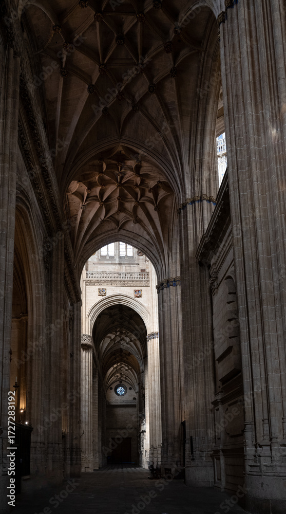 Fototapeta premium Salamanca, Spain - 25 Mar 23: Gothic Cathedral Interior with Vaulted Ceilings
