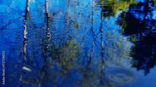 雨滴が描く静寂の波紋、しずくが刻む水面の模様